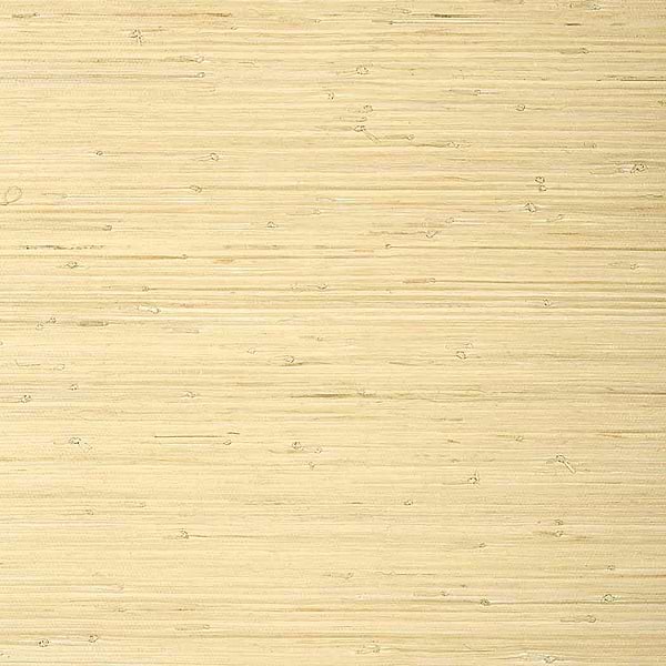 Raffia Palm-Behang-Tapete-Thibaut-Natural-Rol-T24065-Selected Wallpapers