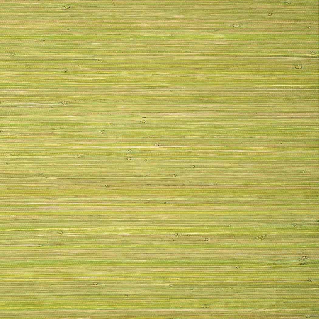 Raffia Palm-Behang-Tapete-Thibaut-Apple Green-Rol-T24070-Selected Wallpapers