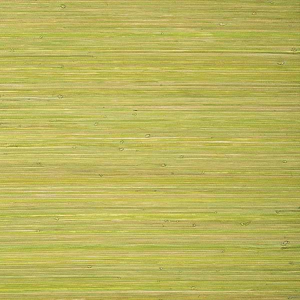 Raffia Palm-Behang-Tapete-Thibaut-Apple Green-Rol-T24070-Selected Wallpapers