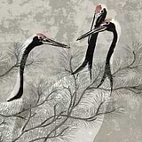 Red Crest-behang-Tapete-Les Dominotiers-Original-Non Woven 70 cm-DOM419-Selected Wallpapers