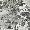 Richmond Park-behang-Tapete-Zoffany-Charcoal-Rol-310059-Selected Wallpapers