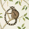 Ringtailed Lemur-behang-Tapete-Sanderson-Cream/Olive-Rol-216664-Selected Wallpapers