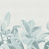 Rubber Plant-behang-Tapete-LondonArt-03-RAW-S120-18056 03-Selected Wallpapers