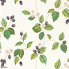 Rubus-Behang-Tapete-Sanderson-Blackberry-Rol-217227-Selected Wallpapers
