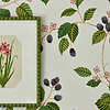 Rubus-Behang-Tapete-Sanderson-Selected Wallpapers