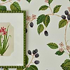 Rubus-Behang-Tapete-Sanderson-Selected Wallpapers
