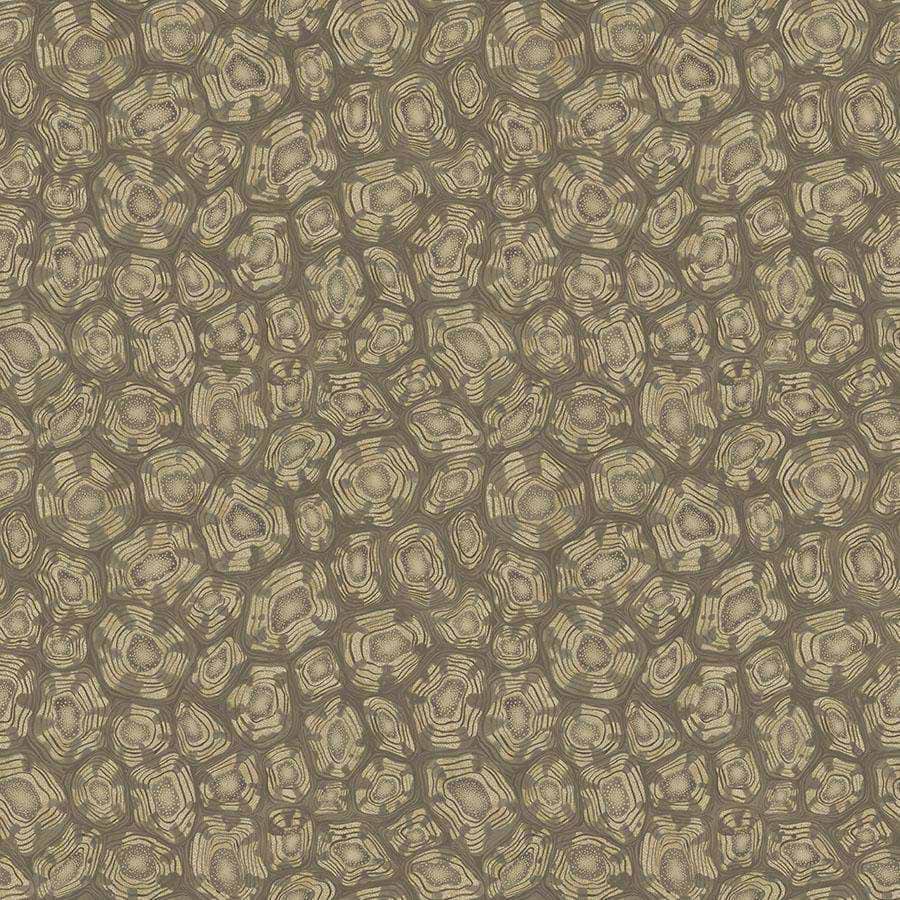 Savanna Shell-Behang-Tapete-Cole & Son-Cedar-Rol-119/4020-Selected Wallpapers
