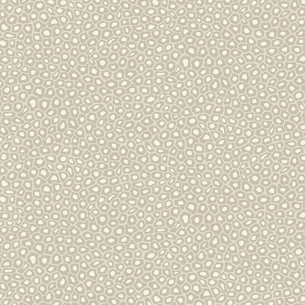 Senzo Spot-Behang-Tapete-Cole & Son-Stone & Chalk-Rol-109/6030-Selected Wallpapers
