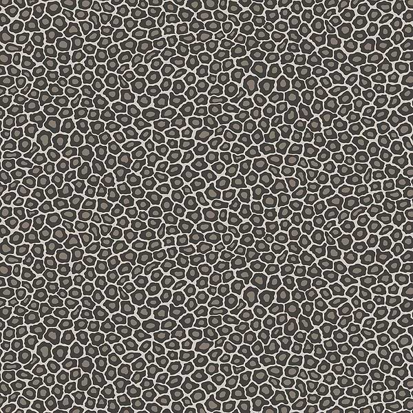 Senzo Spot-Behang-Tapete-Cole & Son-Soot & Snow-Rol-109/6031-Selected Wallpapers