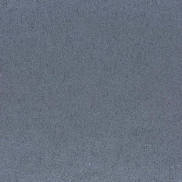 Silky Reboot-Behang-Tapete-Chivasso-56-Rol-CH9126/056-Selected Wallpapers