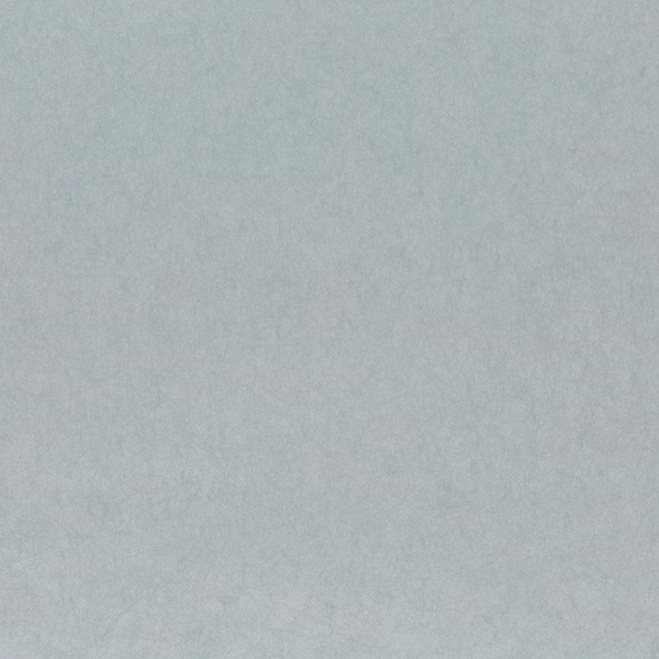 Silky Reboot-Behang-Tapete-Chivasso-191-Rol-CH9126/191-Selected Wallpapers