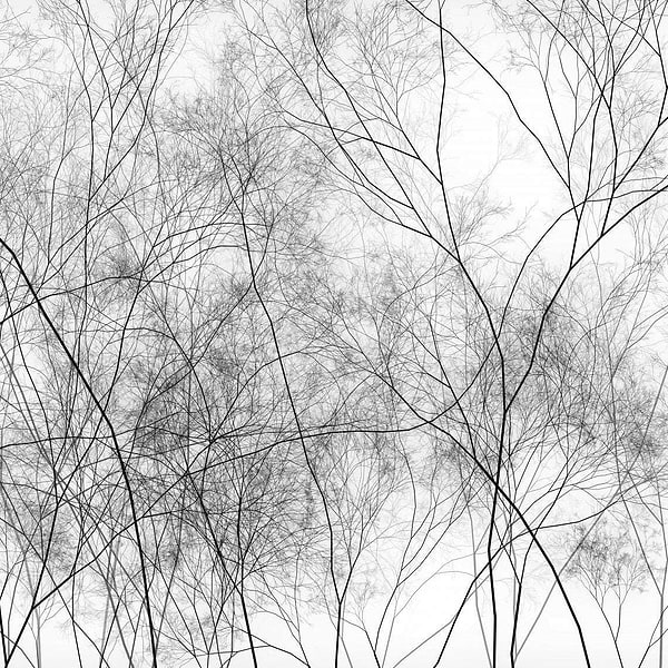 Silva-Behang-Tapete-Glamora-1A-GlamDecor-HL121A-Selected Wallpapers