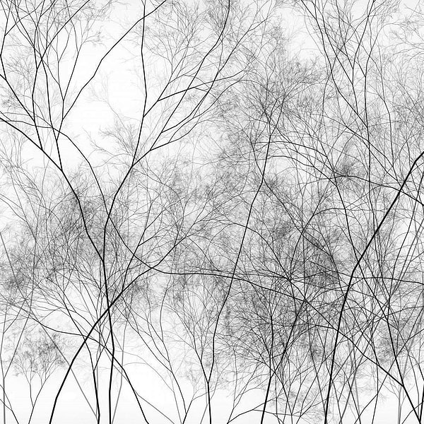 Silva-Behang-Tapete-Glamora-1B-GlamDecor-HL121B-Selected Wallpapers