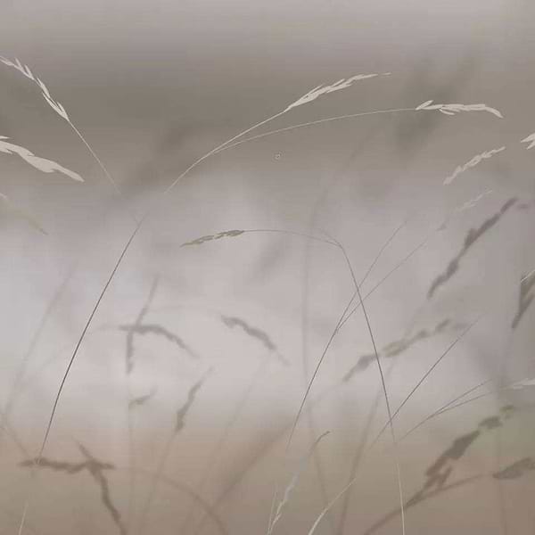 Soffio-behang-Tapete-Glamora-2B-GlamDecor-GLXI42B-Selected Wallpapers