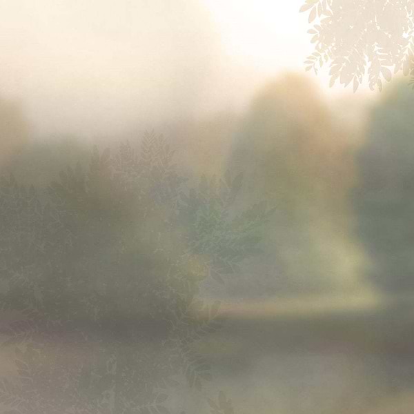 Soffuso-Tapete-Glamora-2A-GlamDecor-GLXII532A-Selected Wallpapers