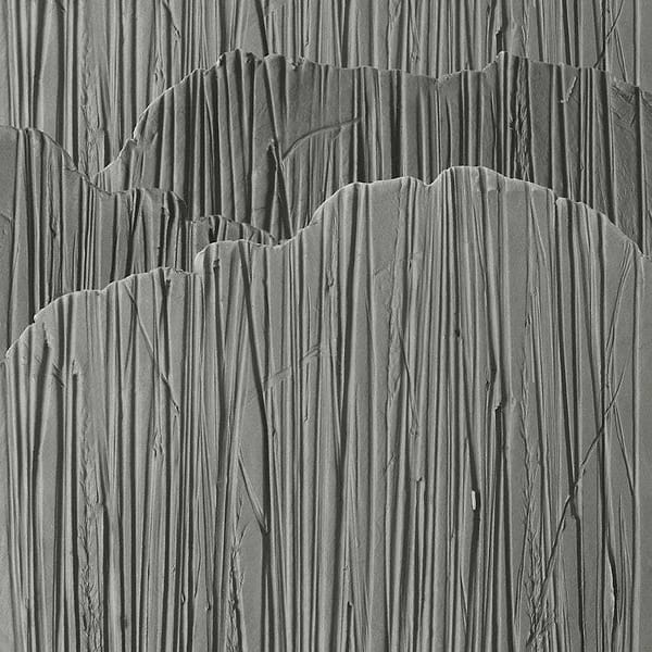 Steli-Behang-Wall & Deco-02-Wet System-WET_ST2202-Selected Wallpapers