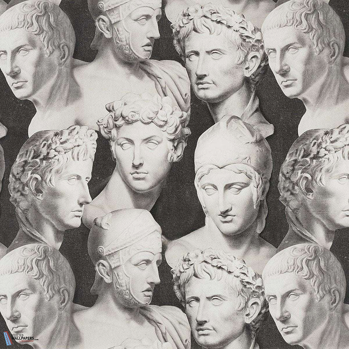 Stoned Romans-Behang-Tapete-Pierre Frey-Fusain-Meter (M1)-FP799002-Selected Wallpapers