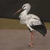 Stork Mother-Behang-Tapete-Coordonne-Black-Non Woven-9500300-Selected Wallpapers