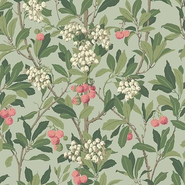 Strawberry Tree-Behang-Tapete-Cole & Son-Chalk Rose & Forest Green-Rol-100/10048-Selected Wallpapers