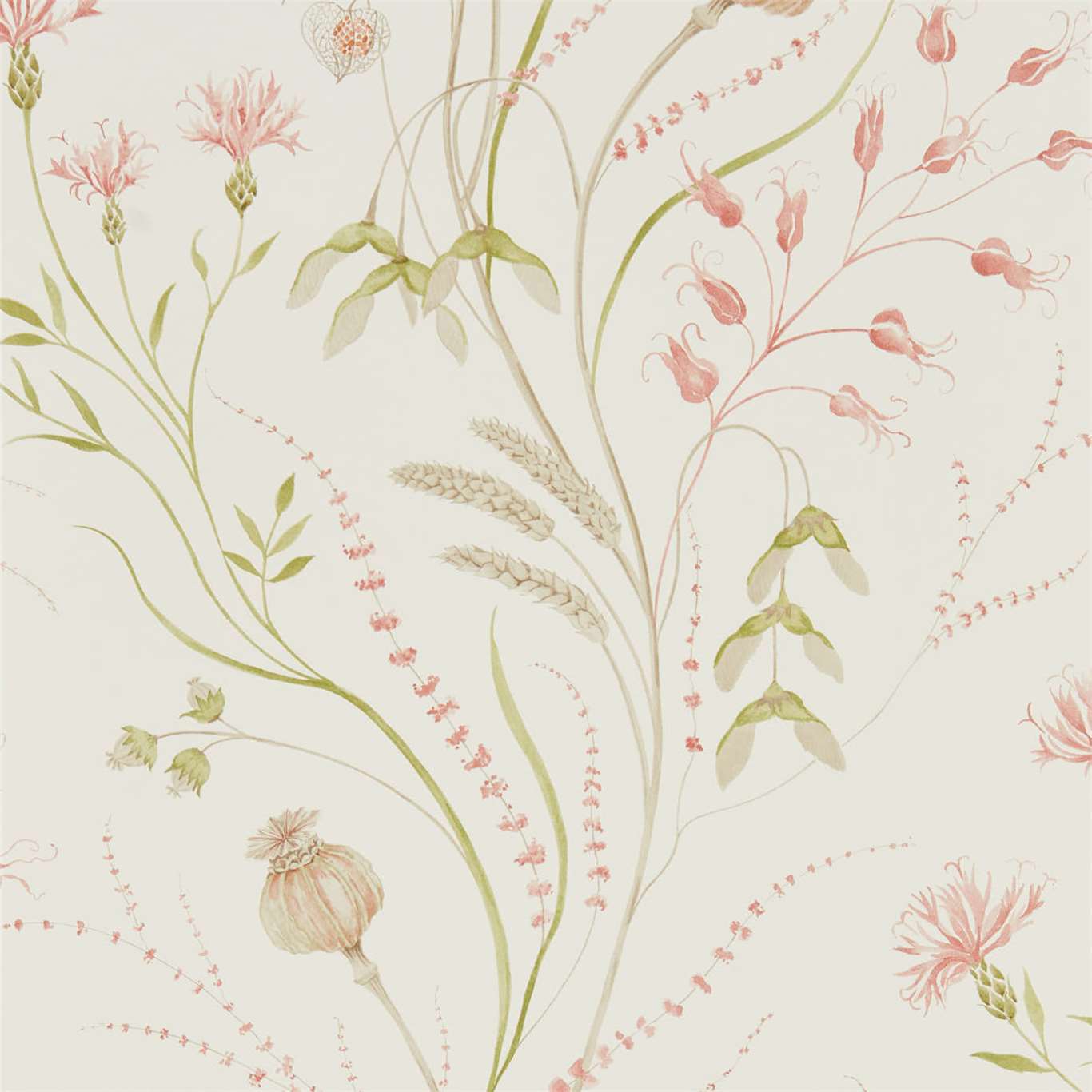 Summer Harvest-behang-Tapete-Sanderson-Claret/Olive-Rol-216495-Selected Wallpapers