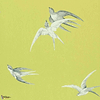 Swallows-behang-Tapete-Sanderson-Lime-Rol-DVIWSW101-Selected Wallpapers
