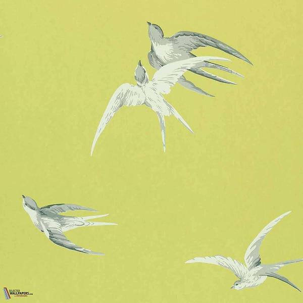 Swallows-behang-Tapete-Sanderson-Lime-Rol-DVIWSW101-Selected Wallpapers
