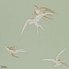 Swallows-behang-Tapete-Sanderson-Pebble-Rol-DVIWSW102-Selected Wallpapers