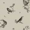 Sweet Birds-Behang-Tapete-Coordonne-Black-Rol-9500072-Selected Wallpapers