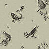 Sweet Birds-Behang-Tapete-Coordonne-Matcha-Rol-9500073-Selected Wallpapers