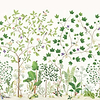Sycamore and Oak-Behang-Tapete-Sanderson-Botanical Green-Rol-217211-Selected Wallpapers