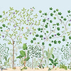 Sycamore and Oak-Behang-Tapete-Sanderson-Sky Blue-Rol-217212-Selected Wallpapers