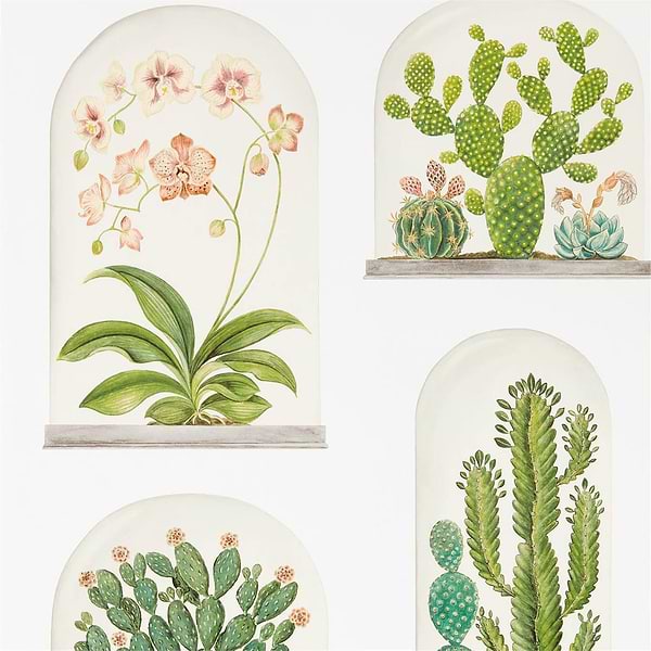 Terrariums-behang-Tapete-Sanderson-Chalk/Green-Rol-216655-Selected Wallpapers