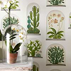 Terrariums-behang-Tapete-Sanderson-Selected Wallpapers