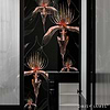 The Black Orchid behang-behang-Daisy James-Selected Wallpapers &amp; Interiors