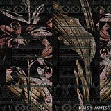 The Cartouche Black behang-behang-Daisy James-Black-Vinyl-M2-Selected Wallpapers & Interiors