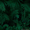 The Evergreen-Behang-Tapete-Daisy James-Original-Vinyl-DJ319_V-Selected Wallpapers