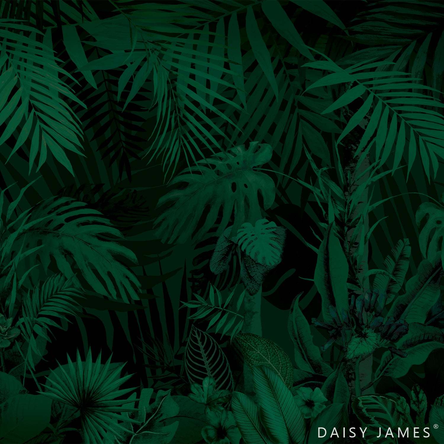 The Evergreen-Behang-Tapete-Daisy James-Original-Vinyl-DJ319_V-Selected Wallpapers