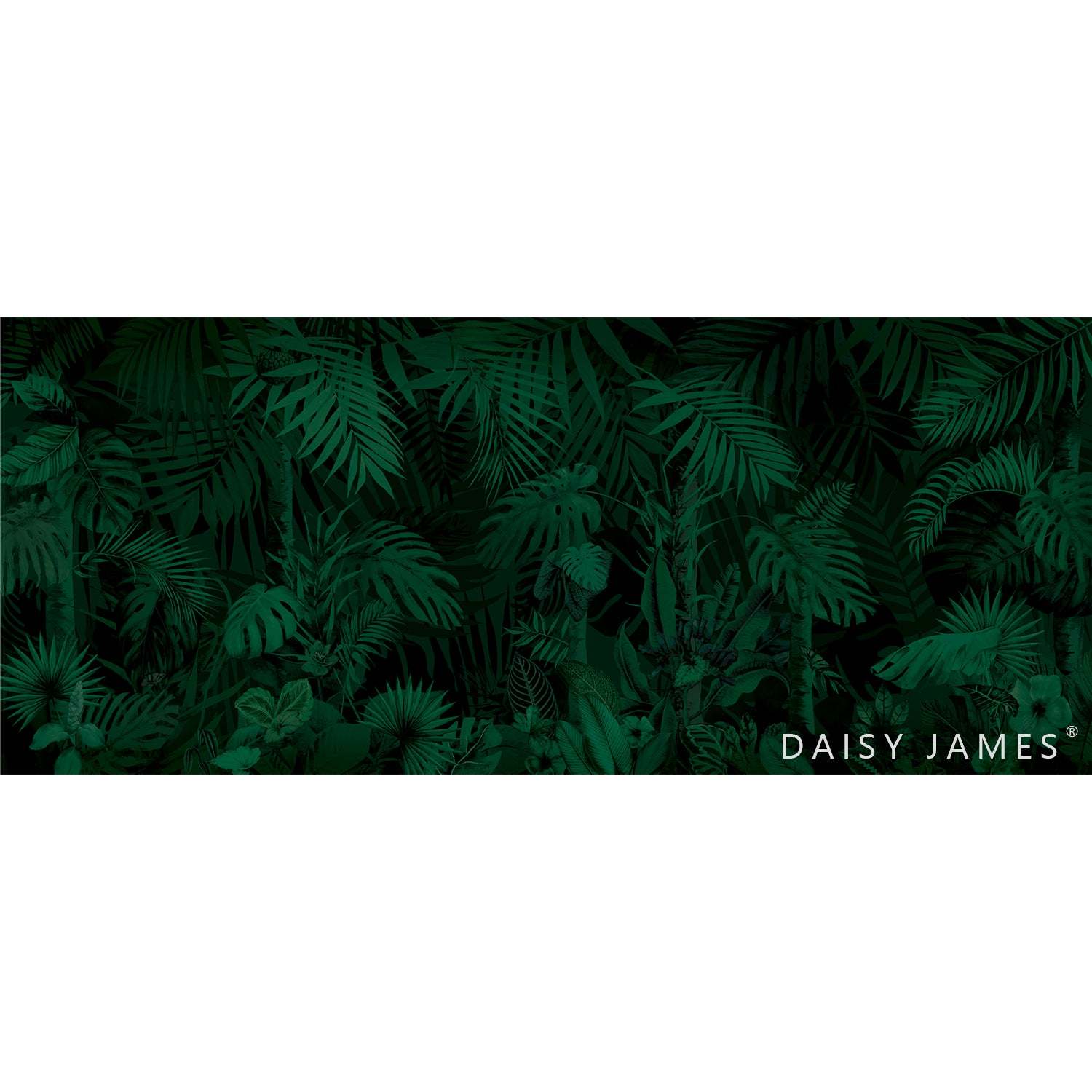 The Evergreen-Behang-Tapete-Daisy James-Selected Wallpapers