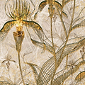 The Orchid Light behang-behang-Daisy James-Gold-Vinyl-M2-Selected Wallpapers & Interiors