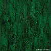 The Panache Green behang-behang-Daisy James-Green-Vinyl-M2-Selected Wallpapers &amp; Interiors