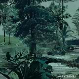 The Shade behang-behang-Daisy James-Green-Vinyl-M2-Selected Wallpapers & Interiors