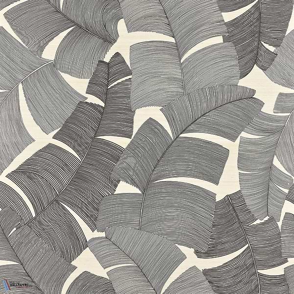 Tikehau-behang-Tapete-Pierre Frey-Noir-Meter (M1)-FP975004-Selected Wallpapers