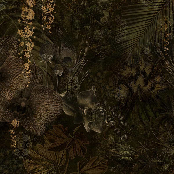 Till the Unknown-Behang-Tapete-Presence-Mystic Green-Silk Vinyl-PS102/04-Selected Wallpapers