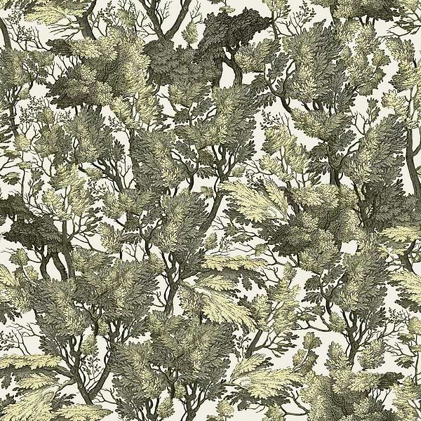 Tree Folliage-behang-Tapete-Mind the Gap-Groen-300 cm (standaard)-WP20481-Selected Wallpapers