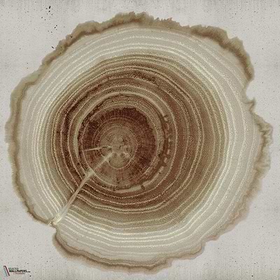 Tree of Life-Behang-Wall & Deco-02-CWC-WDEE2102-Selected Wallpapers