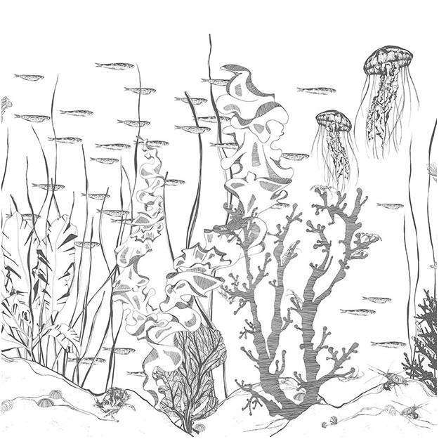 Underwater-behang-Tapete-Les Dominotiers-Selected Wallpapers