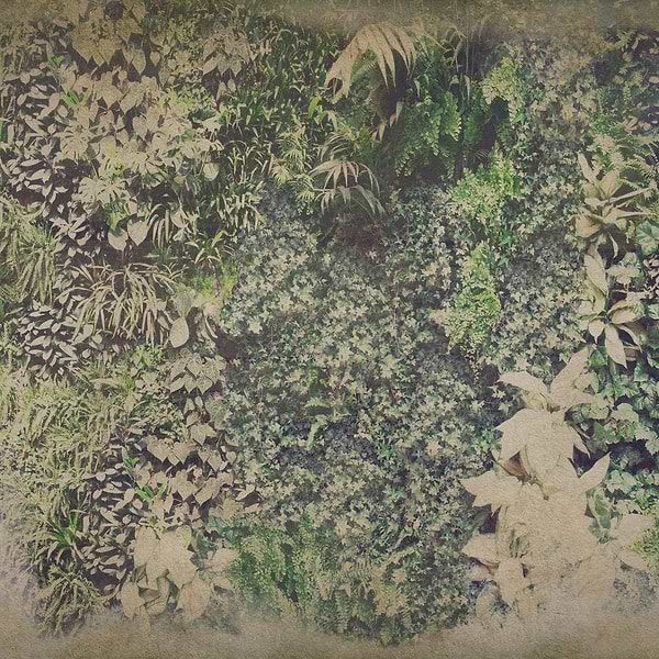 Vertical Green-Behang-Wall & Deco-01-CWC-WDVG1501-Selected Wallpapers