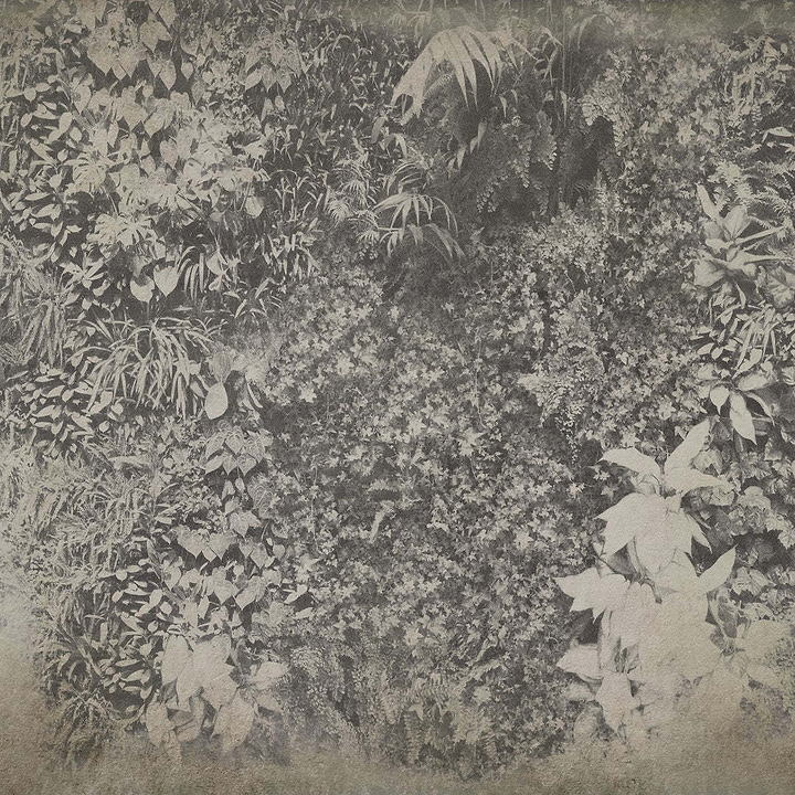 Vertical Green-Behang-Wall & Deco-02-CWC-WDVG1502-Selected Wallpapers