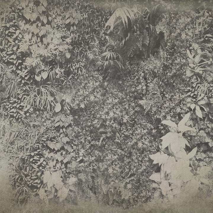 Vertical Green-Behang-Wall & Deco-02-CWC-WDVG1502-Selected Wallpapers