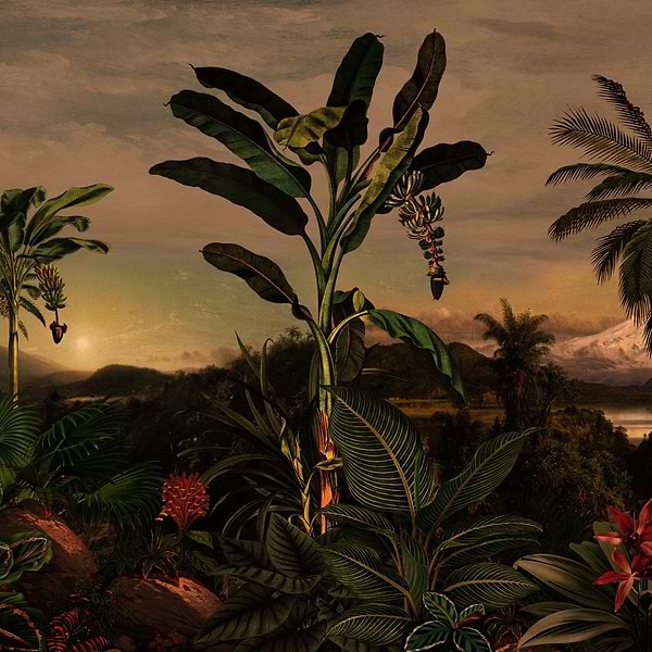 Vista-Wallpaper-Presence-Night-Silk Vinyl-PS103/02-Selected Wallpapers